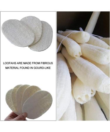 INTVN Natural Loofah Sponge Set - 10pcs Kitchen Scrubbing Pads for Oil-Free Cleaning | Eco-Friendly & Durable - Buy Online on GoSupps.com