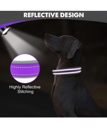 Joytale XL Dog Collar - Softly Padded Neoprene & Reflective Nylon for Extra Large Dogs - Purple 1 Pack - Buy Online on GoSupps.com