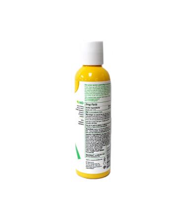 Alba Botanica Natural Acnedote Deep Pore Wash 6 oz (3 Pack) - Gentle & Effective Skincare Solution - Buy Online on GoSupps.com