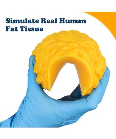 1 lb Human Body Fat Replica with Display Base - Ideal for Weight Loss Motivation & Nutrition Demonstrations - Buy Online on GoSupps.com