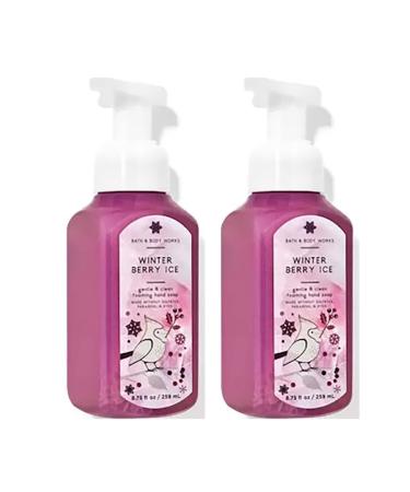 Bath and Body Works Gentle Foaming Hand Soap 8.75 Ounce 2-Pack (Winterberry Ice)