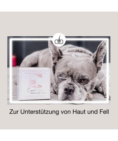 CaniMove Double Pack Dermal Mini (200 Capsules) - Supplementary Feed for Small Dogs | Healthy Skin & Shiny Coat - International Shipping Available - Buy Online on GoSupps.com