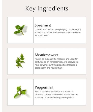 Spearmint & Meadowsweet Scalp Purifying Serum - Deep Cleansing Formula - Buy Online on GoSupps.com