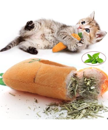 Set of 10 Catnip Toys for Indoor Cats | Interactive & Squeaky Kitten Supplies for Dental Health | Perfect Gift for Cat Lovers - Buy Online on GoSupps.com