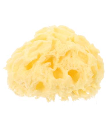Healeved Moisturizer Body Sea for Bathing Natural Bath Sponge Shower Sponge for Body Bath for Bathing Natural for Body Sponge Shower Sponge Bath