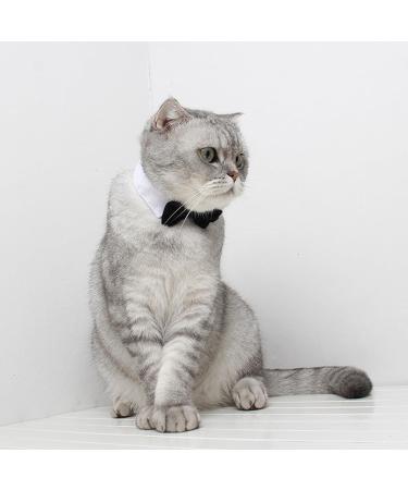 Buy SUNTRADE Adjustable Formal Pet Bow Tie for Dogs & Cats - Wedding Costume (L Black) - International Shipping Available - Buy Online on GoSupps.com