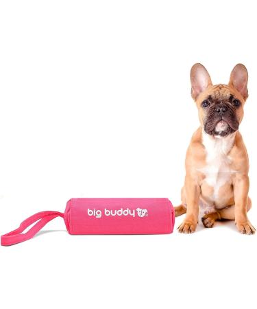 Big Buddy Canvas Feed Dummy Clicker Set - Pink Dog Training Bag & Appurier Dummy for Effective Training - Buy Online on GoSupps.com