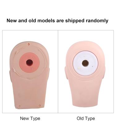 Make-Up Exercise Head for Training | Female Doll with Eyelash Extensions & Hairstyle - Ideal for Makeup Artists - Buy Online on GoSupps.com