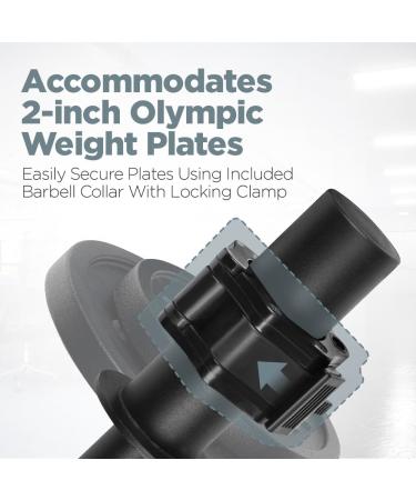 Longest Wrist & Forearm Trainer - Strengthen Grip with Olympic Plates | Ideal for Beginners & Pros | Arm Workout Equipment - Buy Online on GoSupps.com