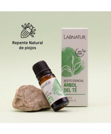 Laboratorium Sys Arbol del Te Essential Oil 10ml - Premium Quality Natural Extract for Aromatherapy & Wellness - Buy Online on GoSupps.com