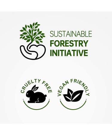 JVR Blackhead Remover Strips 10 Pcs | Deep Cleansing Nose Pore Strips for Men | Cruelty-free Formula for Clear Pores - Buy Online on GoSupps.com