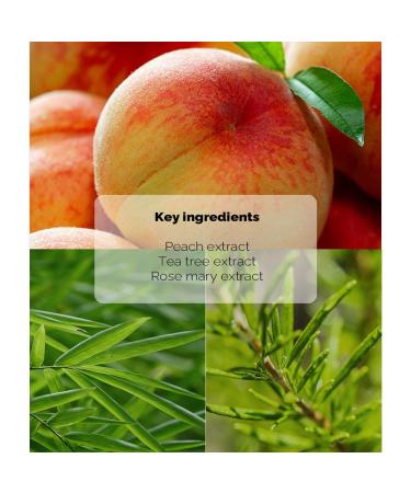 PRETTYSKIN Moisture Lip Balm 0.15oz.(4.5g) Smooth Soft Texture Hydrating Natural Shine Glossy korean lip balm (Honey) - Buy Online on GoSupps.com