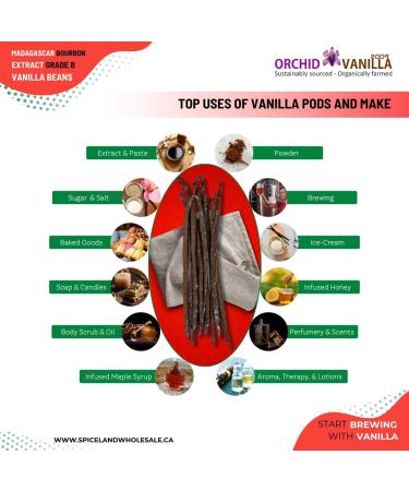 Madagascar Extract Grade-B Bourbon Vanilla Beans For Extract Making By Count (100 Beans (Pack of 1)) - Buy Online on GoSupps.com
