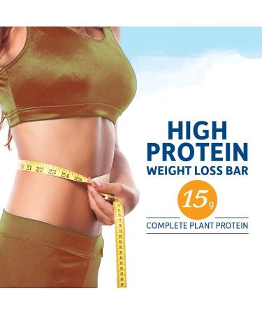 Garden of Life Organic Fit High Protein Weight Loss Bars - Salted Caramel Chocolate - 12 Pack (1.94 oz Each) - Buy Online on GoSupps.com