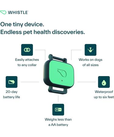 Whistle Health Smart Device for Dogs | Fitness & Activity Tracker - Green - Buy Online on GoSupps.com