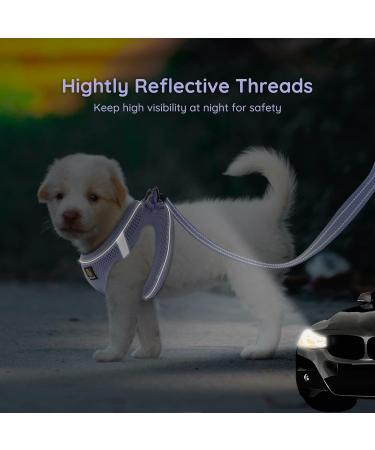 Buy Bella & Pal Dog Harness for Small Dogs - Reflective Breathable Air Mesh with Leash - XS (30-35cm) - Lavender - Perfect for Puppies & Cats - Buy Online on GoSupps.com