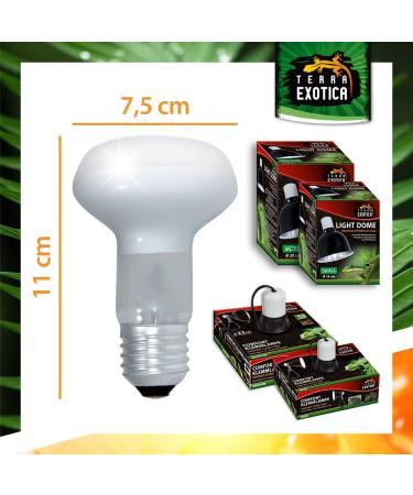 Terra Exotica 100W Heat Spot 3 Pack - Ideal Reptile Terrarium Lighting & Heat Lamps - 25W to 150W Options Available - Buy Online on GoSupps.com