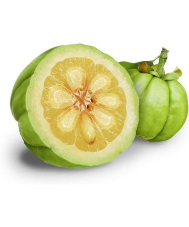 Buy Garcinia Cambogia 400mg - Pack 3 + 1 - 360 Capsules - 60% HCA - International Shipping - Buy Online on GoSupps.com