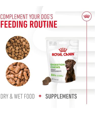 Royal Canin Dog Supplement for Digestion Soft Chews 160g - Buy Online on GoSupps.com