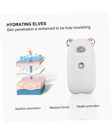FOMIYES 2 Pcs Beauty Humidifier Portable Facial Mister Skin Moistener Face Sprayer Care Evaporator - Buy Online on GoSupps.com