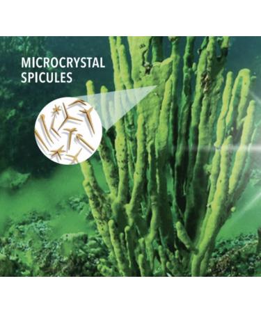 Baikal Crystal Balm 2oz - Anti-Aging Collagen Booster Hydrating Skin Tightening Balm with Squalane & Organic Ingredients - Buy Online on GoSupps.com