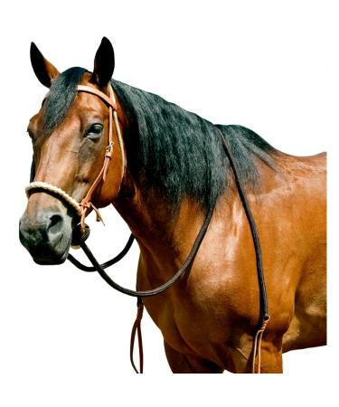 Mustang Round Braided Noseband Breaking Hackamore
