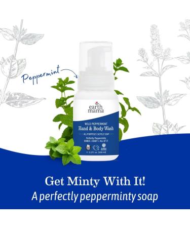Earth Mama Wild Peppermint Hand & Body Wash | Foaming Castile Soap Liquid and Hand Soap Made with Organic Wild Mint & Peppermint Oil 5.3 fl oz Wild Peppermint 5.3 Fl Oz (Pack of 1) - Buy Online on GoSupps.com