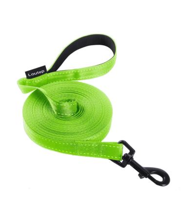 Loutep Reflecting training lines for dogs 3 m 5 m 10 m 15 m 20 m 25 m 30 m strong nylons rope extra long leash dog leash with padded handle for large medium -sized and small 3 m reflective light green