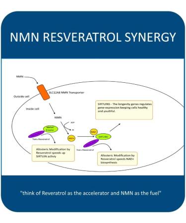 MAAC10 NMN Resveratrol NAD Combo Pack - Nicotinamide Mononucleotide NAD+ Supplement 250mg (60 x 125mg NMN Capsules) 99% Pure Trans Resveratrol Extract (60 x 250mg Capsules) - Buy Online on GoSupps.com