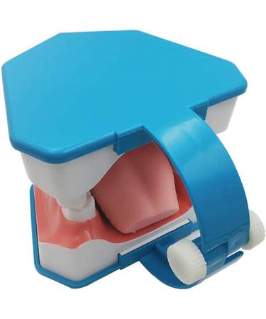 Large 6-Fold Dental Model for Kids - Ideal for Oral Care Lessons Tooth Brushing & Prosthesis Study - Buy Online on GoSupps.com