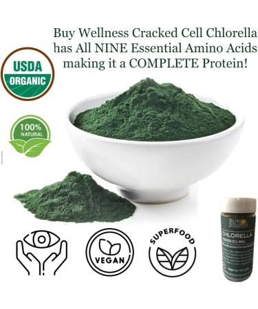 Buy Wellness Organic Chlorella Powder Cracked Cell Chlorella Green SUPERFOOD | Raw Green Supplement Rich in Protein & Vitamins | Broken Cell Wall Non-GMO Vegan Non-Irradiated 4 oz - Buy Online on GoSupps.com