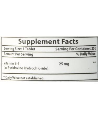 Best Naturals Vitamin B-6 25mg Tablets - 250 Count Pack of 1 - Buy Online on GoSupps.com
