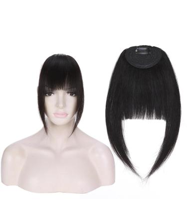 Bangs Clip in Bangs Real Human Hair Bangs for Women Clip on French Bangs Real Hair Nice Natural Flat Neat Bangs with Temples 1Pcs for Women Curved Bangs for Daily Wear (Color : #1B)