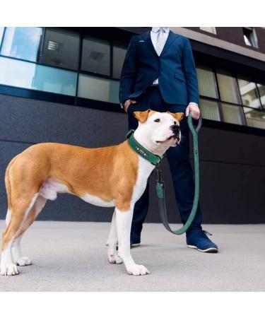Didog Custom Engraved Leather Dog Collar - Soft Padded D-Ring for Small & Medium Dogs (33-40 cm Green) - Buy Online on GoSupps.com