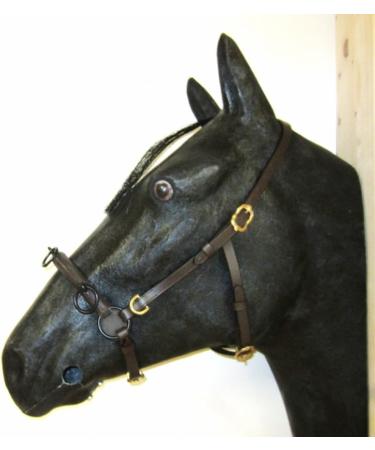 Buy PS Horse French Cavesson Cavecon with D-Rings - Soft Full Brown with Gold Fittings | International Shipping Available - Buy Online on GoSupps.com