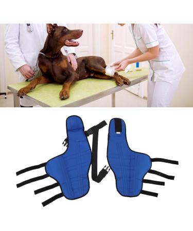 Jauarta Dog Hind Leg Brace Breathable Elastic Shockproof Dog Leg Protector for Pets and Dogs (S) - Buy Online on GoSupps.com