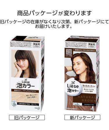 Kao | Liese Prettia AWA Hair Color KAMI IRO MODOSHI | Natural Brown - Buy Online on GoSupps.com