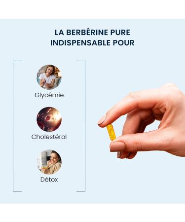 Berberine Pure concentrated 98% - Berberis Aristata extract - 60 capsules of 300 mg - Blood glucose & cholesterol regulated - High grade of Berberine Stabilized Hcl - No Additives & Vegan - Dynveo - Buy Online on GoSupps.com