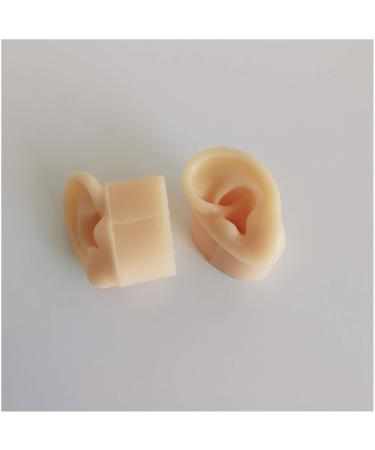 Silicone Ear Model for Acupuncture - Life Size Human Ear Model Lifelike Artificial Ear Model for Science Class Teaching Display Studs Earring Display Props - Buy Online on GoSupps.com