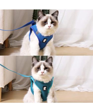 Buy Cat Dishes & Harness Set | Outdoor Leash & Bowls for Cats & Dogs - International Shipping - Buy Online on GoSupps.com
