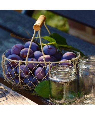 Buy Me mer French Plum Tea - 20 Gluten-Free Lactose-Free Vegan Tea Bags for International Shipping - Buy Online on GoSupps.com