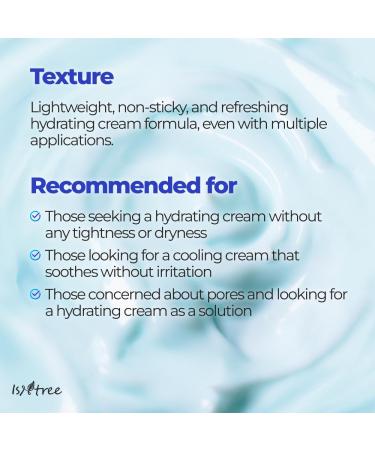 IsNtree ISTREE Zinc Aqua Cream 30ml 1.01 fl oz | Korean Skincare | Ultra-Low Molecular Hyaluronic Acid | Pore Refining & Oil Control | Cooling & Hydrating Gel Cream - Buy Online on GoSupps.com