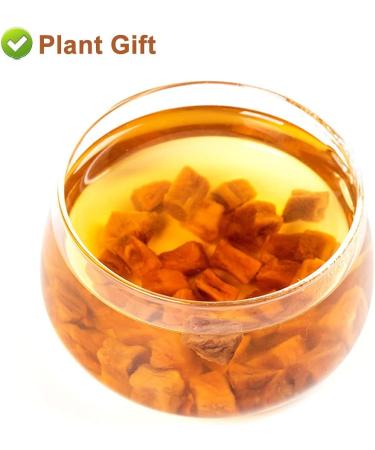 Flower 2 (180G-Chicory Root) - Buy Online on GoSupps.com