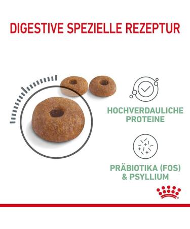 Royal Canin Digestive Care Adult Dry Cat Food 400g (Pack of 4) Variety 400 g (Pack of 4) - Buy Online on GoSupps.com