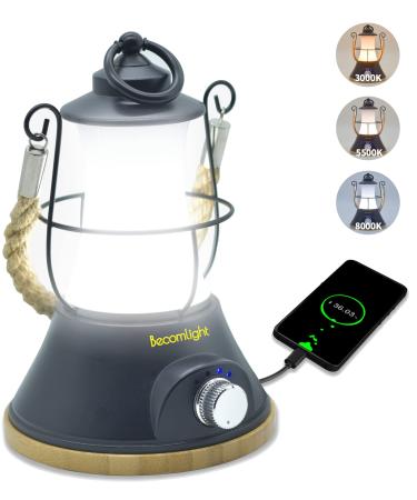 LED Camping Lantern Rechargeable 30008000K: Cute Retro Handheld Portable Lanterns Outdoor, 5000mAh Battery Powered Dimmable Emergency Lamp for Home Power Outages, Hurricane Lighting (Black) M9 - Black