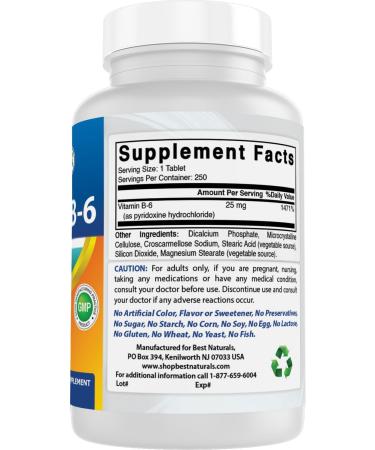 Best Naturals Vitamin B6 25mg 250 Tablets (250 Count (Pack of 3)) - Buy Online on GoSupps.com