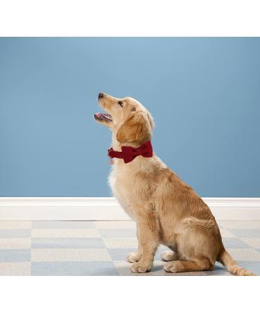 Dogwong Christmas Red Dog Collar with Removable Fly | Adjustable Pet Collar for Small Medium Dogs | Perfect Gift for Boys & Girls (Pack of 1) - Buy Online on GoSupps.com