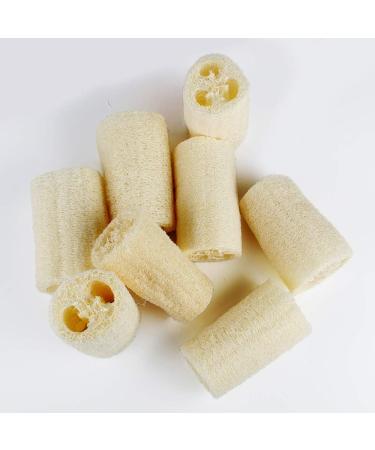 8 Pcs Natural Loofah Sponge Organic Loofah Sponge Organic Luffa Organic Sponge Bath for Shower Scrubbing and Kitchen Cleaning(6 * 10cm) - Buy Online on GoSupps.com