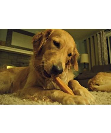 EcoKind Gold Yak Dog Chews | Grade A Healthy & Odorless Treats for Dogs - Buy Online on GoSupps.com