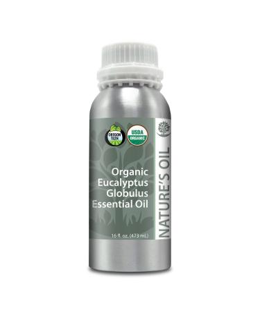 Best Eucalyptus Globulus Essential Oil Pure Certified Organic Therapeutic Grade 1Lb
